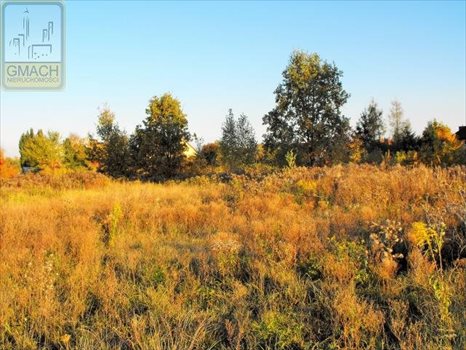 Działka budowlana na sprzedaż Wołomin, Lipiny B, 1-go Maja 4 351m2 Foto 1