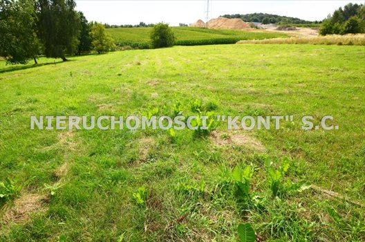 Działka budowlana na sprzedaż Giebułtów, Graniczna 907m2 Foto 5