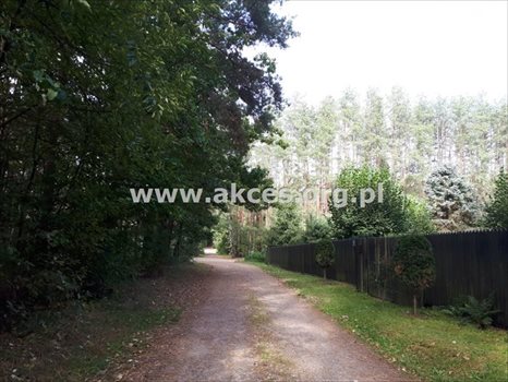 Działka budowlana na sprzedaż Prace Duże 3 000m2 Foto 12