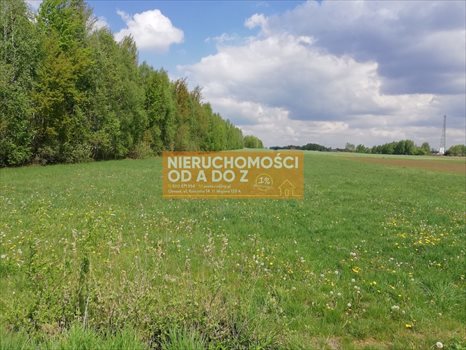 Działka siedliskowa na sprzedaż Bocian 10 000m2 Foto 6