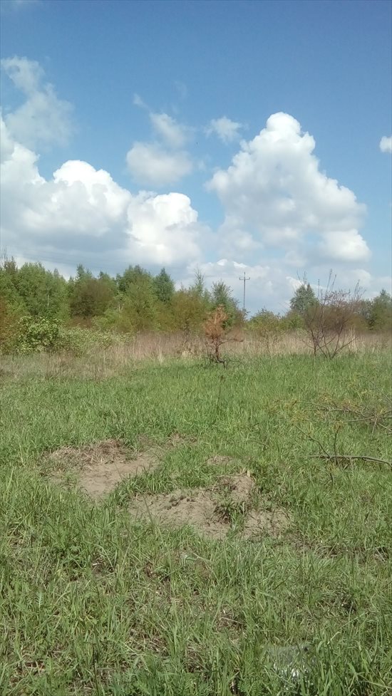 Działka rolna na sprzedaż Łódź, Widzew, Opolska 14 997m2 Foto 12