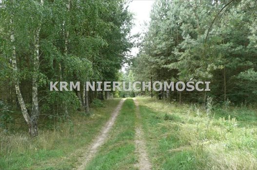 Działka rekreacyjna na sprzedaż BORY TUCHOLSKIE, LIPY, gm. STARA KISZEWA 2 024m2 Foto 6