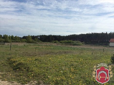 Działka rolna na sprzedaż Bojano, Diamentowa 3 000m2 Foto 3