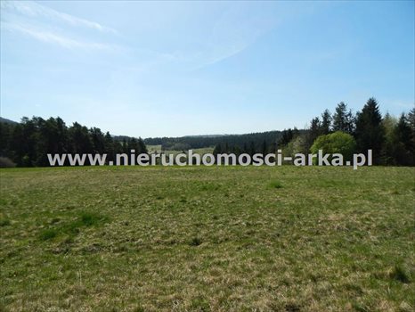 Działka budowlana na sprzedaż Kasina Wielka 3 300m2 Foto 3