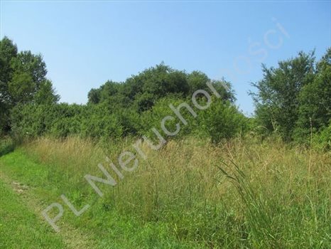 Działka rolna na sprzedaż Gójszcz 1 050m2 Foto 4