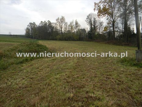 Działka inna na sprzedaż Jodłownik 6 000m2 Foto 3