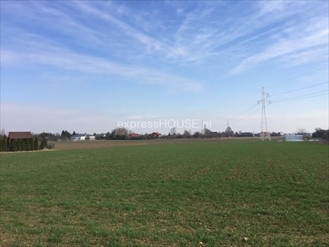 Działka budowlana na sprzedaż Abramowice Prywatne 8 503m2 Foto 2