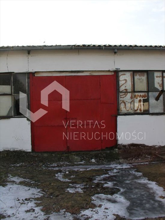 Lokal użytkowy na sprzedaż Radzionków 1 000m2 Foto 10