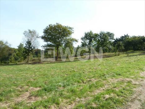 Działka budowlana na sprzedaż Księginice Małe, Jagodowa 5 000m2 Foto 3