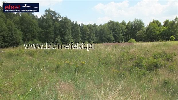 Działka budowlana na sprzedaż Buczkowice 3 900m2 Foto 6