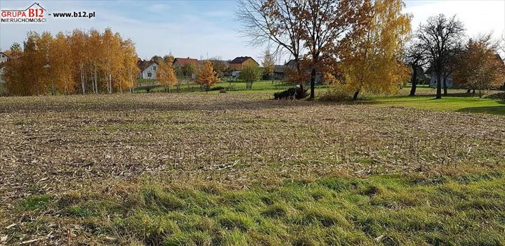 Działka budowlana na sprzedaż Koźmice Wielkie, Koźmice Wielkie, Koźmice Wielkie 1 200m2 Foto 1