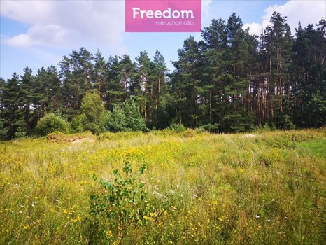 Działka budowlana na sprzedaż Orzechowo 25 000m2 Foto 6