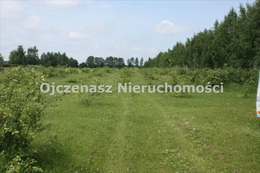 Działka budowlana na sprzedaż Żołędowo 1 595m2 Foto 5