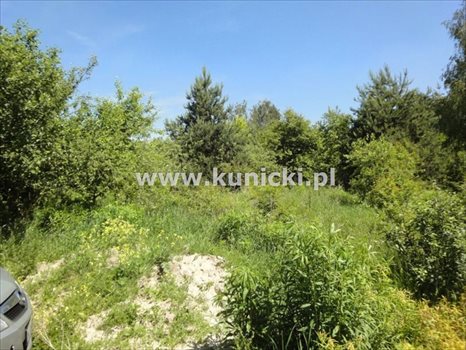 Działka inna na sprzedaż Łoś, Polna 1 200m2 Foto 2