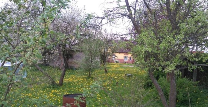 Dom na sprzedaż Barnowiec 180m2 Foto 7