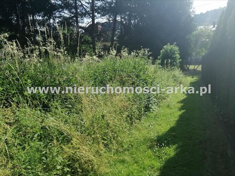 Działka budowlana na sprzedaż Szczawa 1 400m2 Foto 3