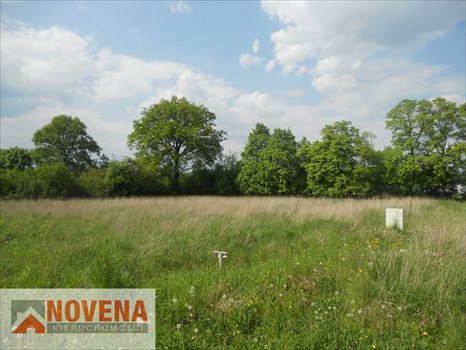 Działka budowlana na sprzedaż Żerków, 3km od Brzegu Dolnego. Pięnna działka budowlana. 1 800m2 Foto 1