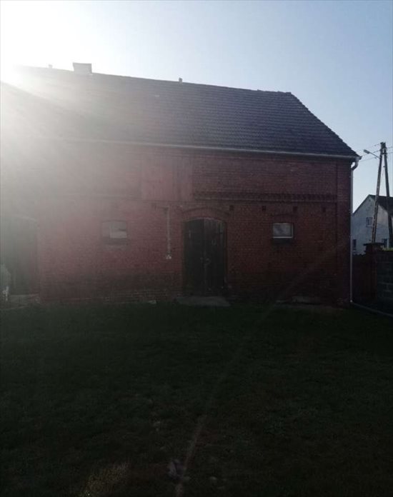 Działka gospodarstwo rolne na sprzedaż Piotrkosice 2 966m2 Foto 4