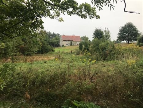 Działka budowlana na sprzedaż Henryków Lubański 1 511m2 Foto 4