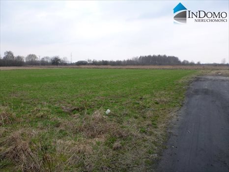 Działka budowlana na sprzedaż Sulejów, Podwłodzimierzów 1 262m2 Foto 5