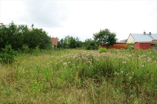 Działka inna na sprzedaż Mrozy Wielkie 7 111m2 Foto 11
