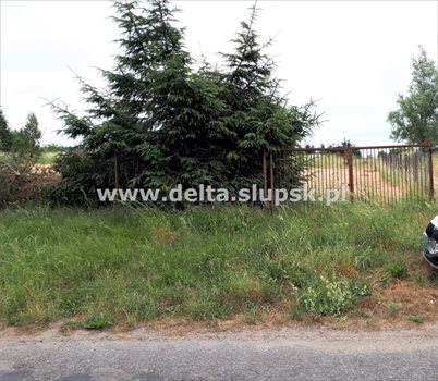 Działka budowlana na sprzedaż Izbica 1 248m2 Foto 8