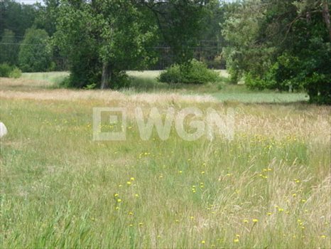 Działka budowlana na sprzedaż Przygodzice, okolice Przygodzic 4 600m2 Foto 2