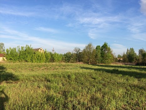 Działka budowlana na sprzedaż Klaudyn 1 196m2 Foto 2