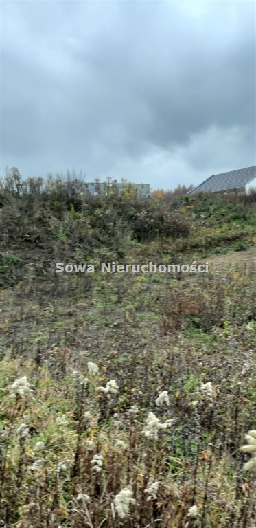 Działka inna na sprzedaż Wałbrzych, Kozice 869m2 Foto 2