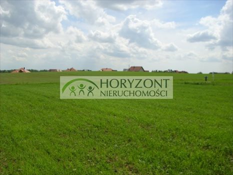 Działka rolna na sprzedaż Małkowo 3 172m2 Foto 7