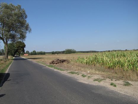 Działka budowlana na sprzedaż Marydół, Trasa Marydół - Siedlików 8 183m2 Foto 3