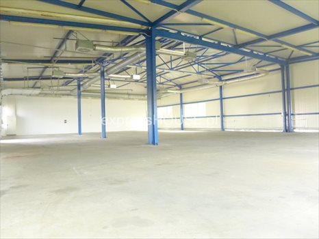 Lokal użytkowy na sprzedaż Kazimierzówka 4 500m2 Foto 9