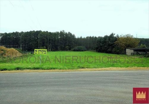 Działka budowlana na sprzedaż Rybnik 3 990m2 Foto 4
