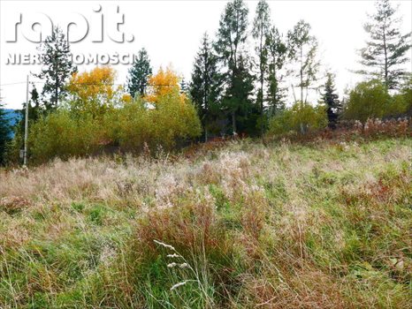Działka budowlana na sprzedaż Poręba 1 430m2 Foto 2