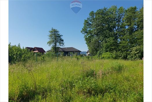 Działka budowlana na sprzedaż Grodziec 1 220m2 Foto 10