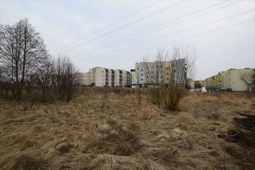 Działka budowlana na sprzedaż Białystok, Gajowa 1 364m2 Foto 8