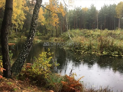 Działka rekreacyjna na sprzedaż Wólka Mlęcka 4 500m2 Foto 8