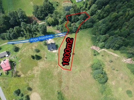 Działka budowlana na sprzedaż Pewel Wielka 1 800m2 Foto 1