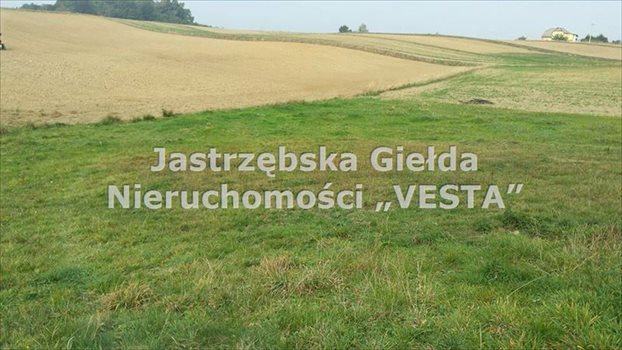 Działka inna na sprzedaż Jastrzębie-Zdrój, Bzie Zameckie 1 200m2 Foto 4