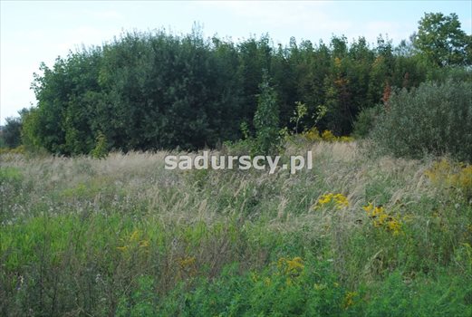 Działka budowlana na sprzedaż Balice, Krakowska 4 200m2 Foto 3