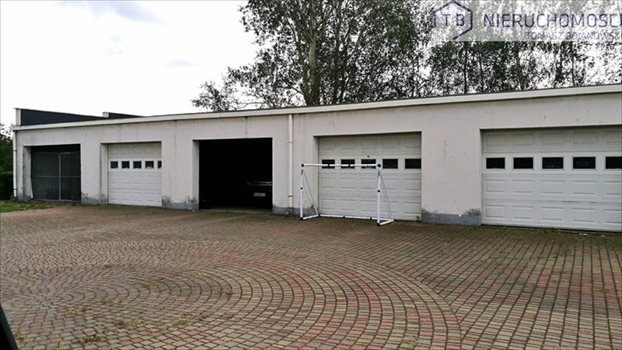 Działka budowlana na sprzedaż Giewartów, Nad Jeziorem, Powidz, Giewartów okolice 2 000m2 Foto 7