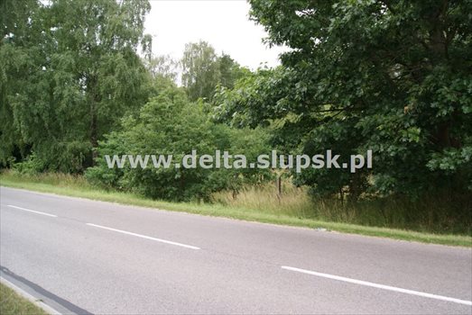 Działka budowlana na sprzedaż Bruskowo Wielkie 2 097m2 Foto 2
