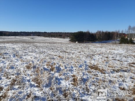 Działka budowlana na sprzedaż Jagatowo 12 004m2 Foto 8