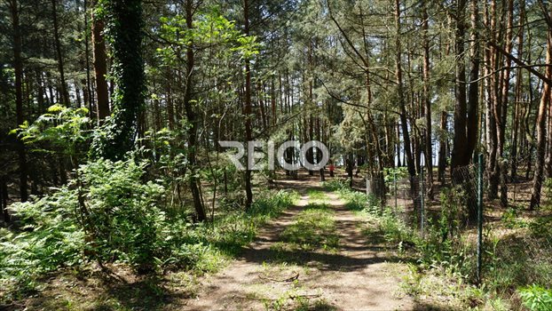 Dom na sprzedaż Serock 90m2 Foto 13