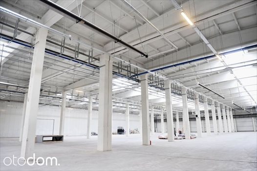 Lokal użytkowy na wynajem Gdańsk, Zaspa 6 300m2 Foto 2