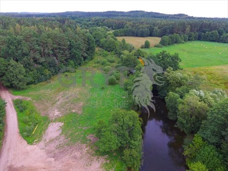 Działka inna na sprzedaż Łosino, Łosino 33 900m2 Foto 4
