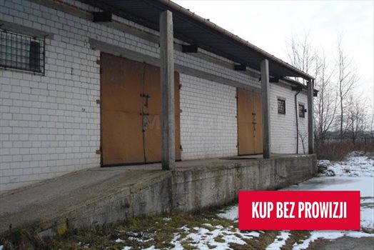 Lokal użytkowy na sprzedaż Pustelnik 1 900m2 Foto 2