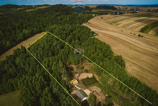 Działka siedliskowa na sprzedaż Strzegowa 14 599m2 Foto 1