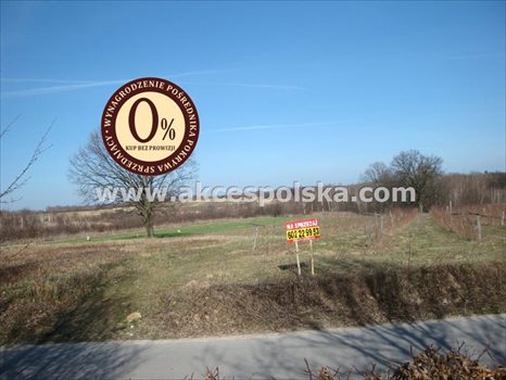 Działka inna na sprzedaż Kazimierz Dolny, Góry 3 300m2 Foto 4