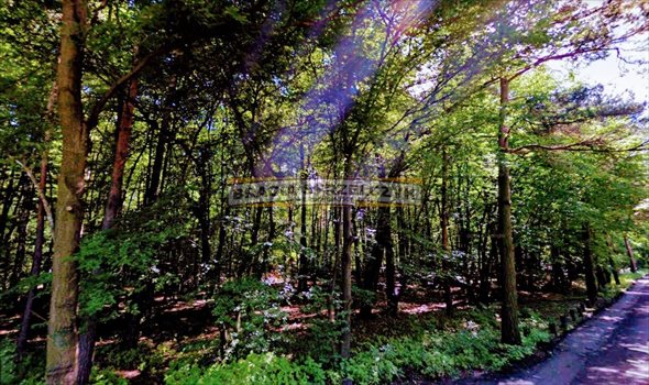 Działka budowlana na sprzedaż Kierszek 4 600m2 Foto 3